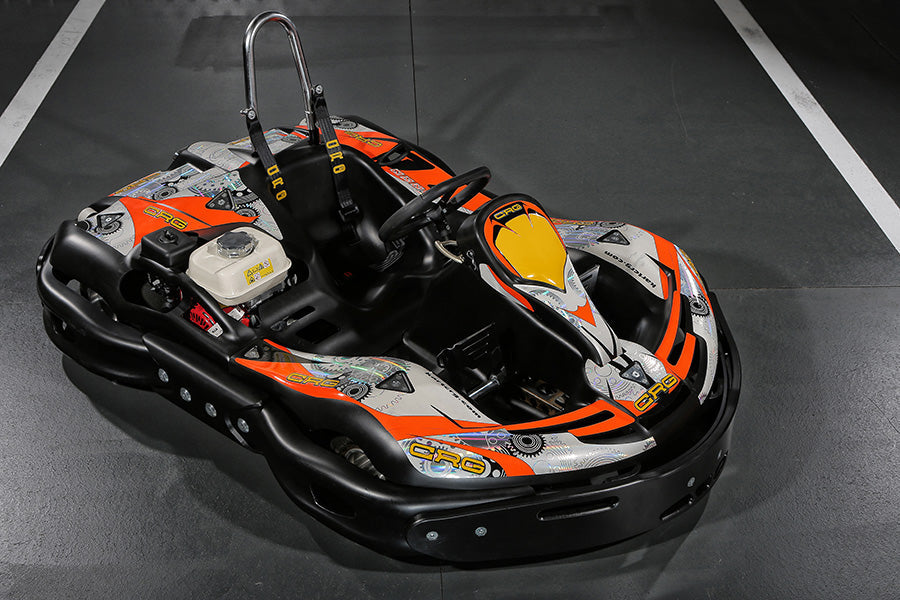New gokarts equipped with Rotax engines!